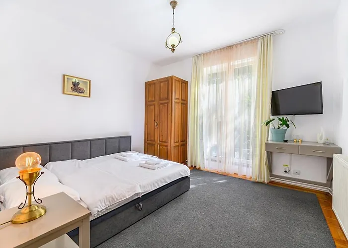 Private With Terrace - 布拉索夫