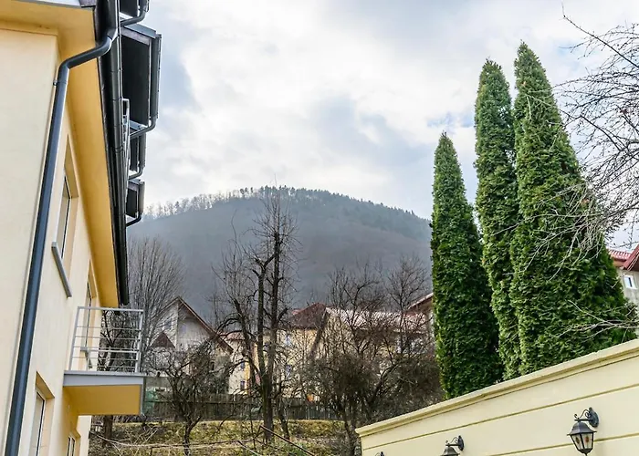 Private With Terrace - * 布拉索夫